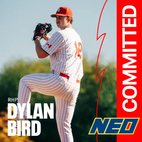 Dylan Bird, a right-handed pitcher in a white pinstripe Cardinals uniform and red cap, at the top of his windup. Graphic text reads RHP Dylan Bird, Committed, and the NEO logo.