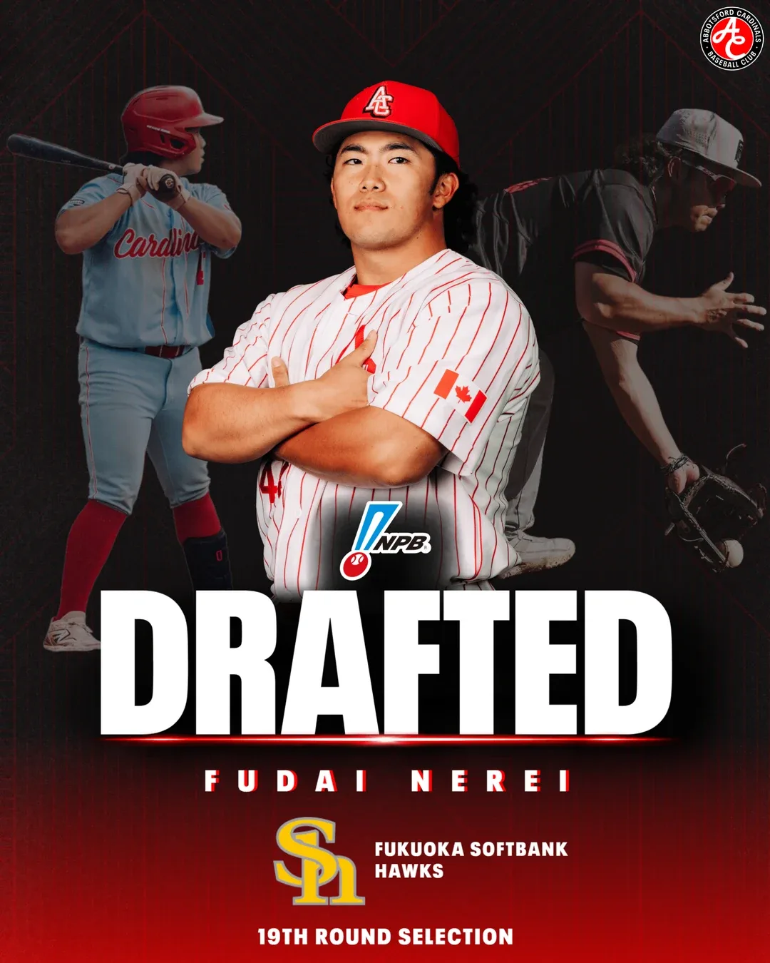 Drafted graphic for Fudai Nerei: he stands with his arms crossed in a red-pinstripe Cardinals jersey and red cap, with two action shots behind him. Text reads Drafted, Fudai Nerei, Fukuoka SoftBank Hawks, 19th round selection.
