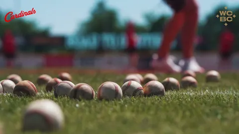 Baseballs scattered across the grass at a Cardinals practice, with a player warming up behind them.